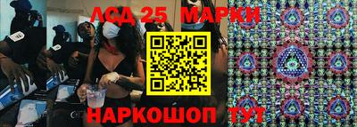 гидропоника Сланцы