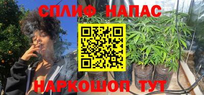 гидропоника Сланцы