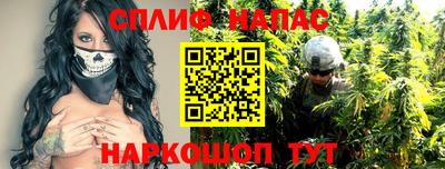 гидропоника Сланцы