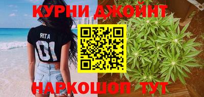 гидропоника Сланцы