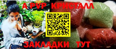 гидропоника Сланцы