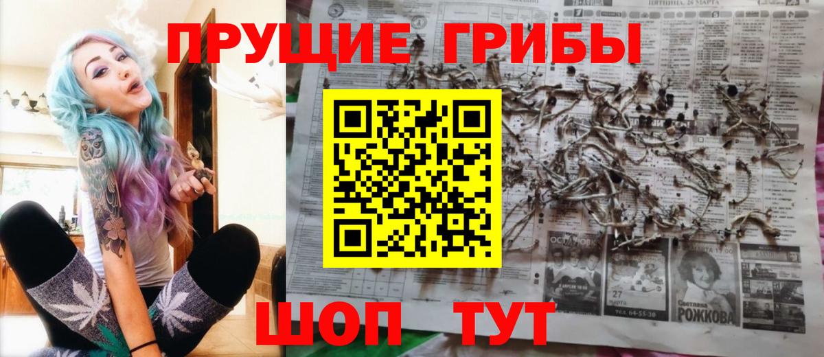 Галлюциногенные грибы Psilocybe Нефтеюганск